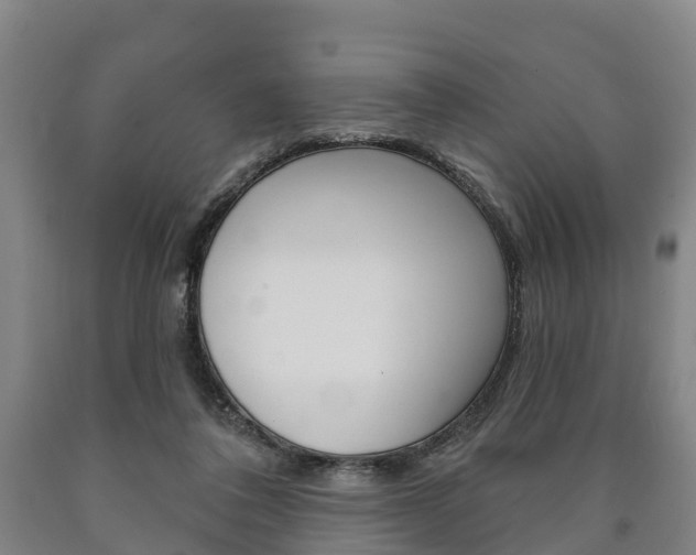 X0000090910308200707301038