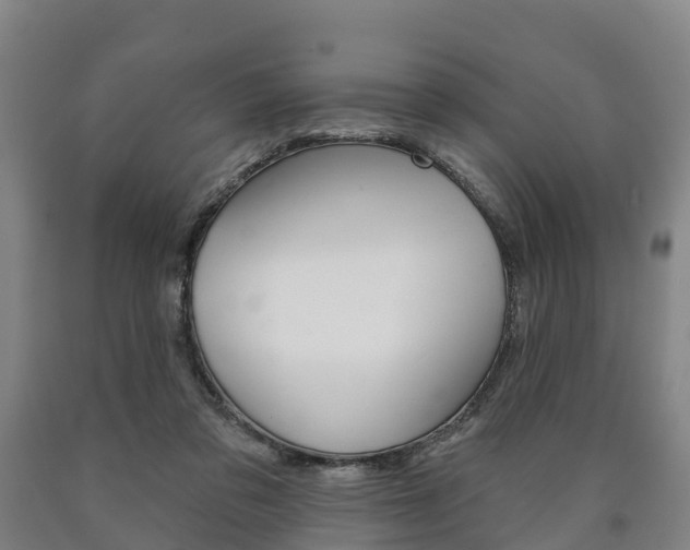 X0000090910309200707301038