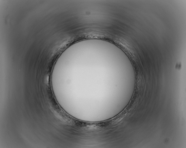 X0000090910310200707301038