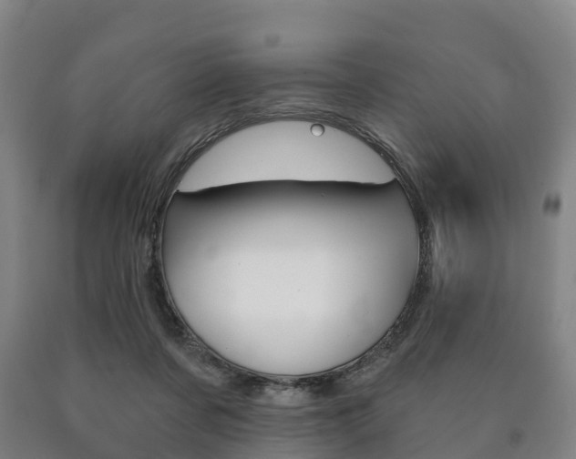 X0000090910311200707301038