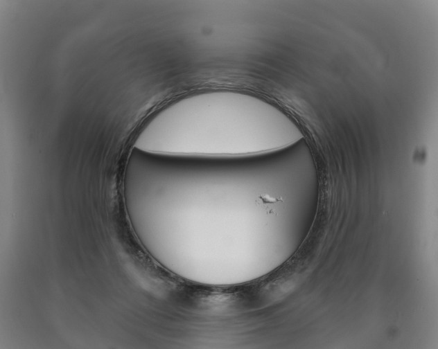 X0000090910312200707301038