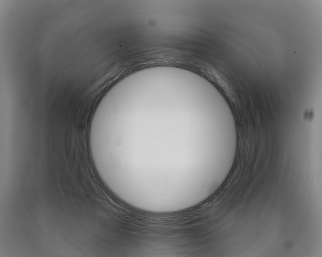 X0000090910313200707301038