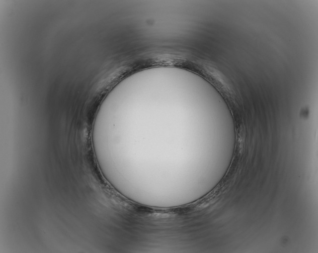 X0000090910314200707301038