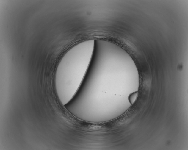X0000090910315200707301038