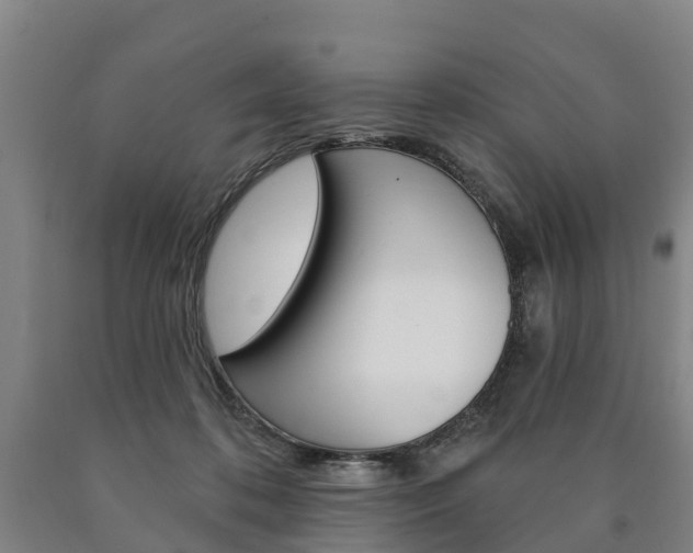 X0000090910316200707301038