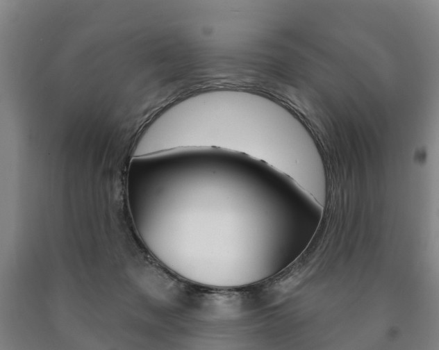 X0000090910317200707301038