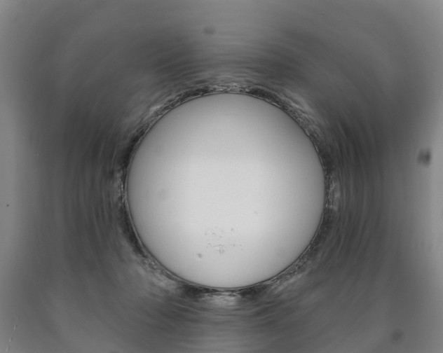 X0000090910318200707301038