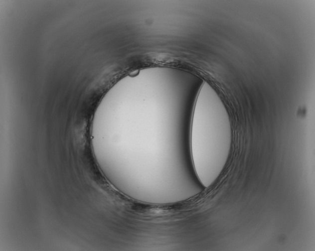 X0000090910319200707301038