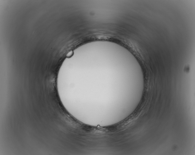 X0000090910321200707301038
