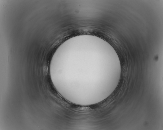 X0000090910324200707301038