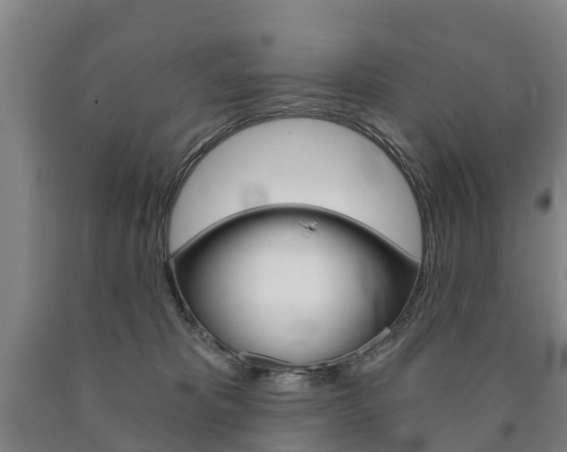 X0000090910325200707301038