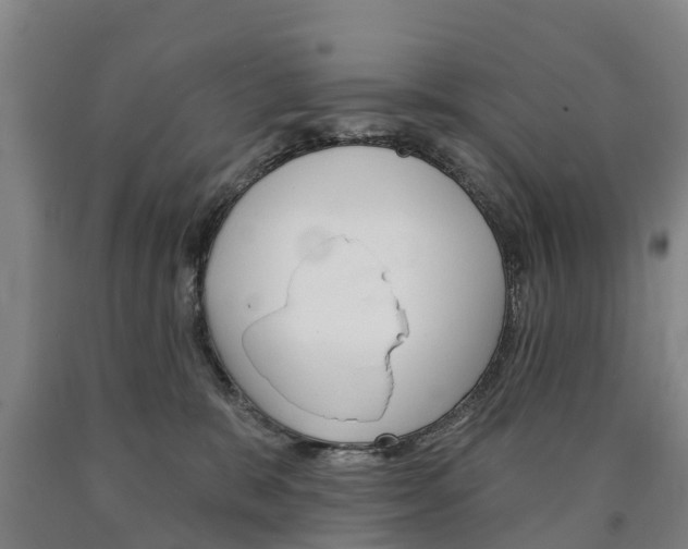 X0000090910327200707301038