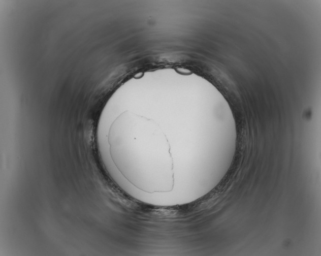 X0000090910328200707301038