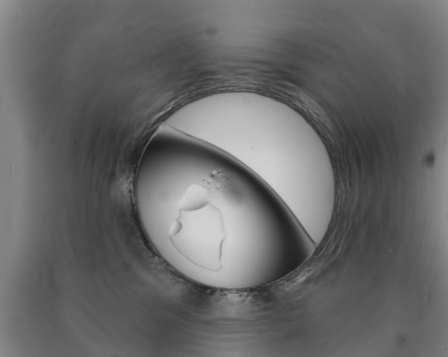 X0000090910329200707301038