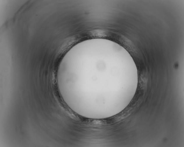 X0000090910330200707301038