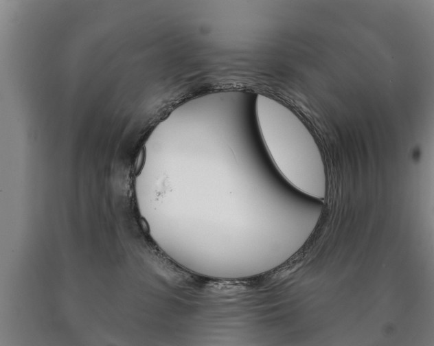 X0000090910331200707301038