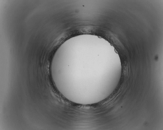 X0000090910332200707301038