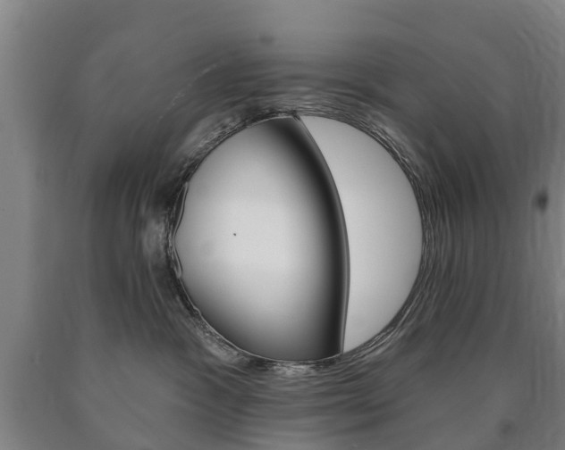 X0000090910333200707301038