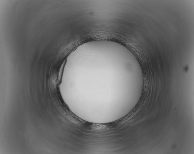 X0000090910334200707301038