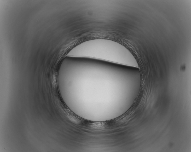 X0000090910335200707301038