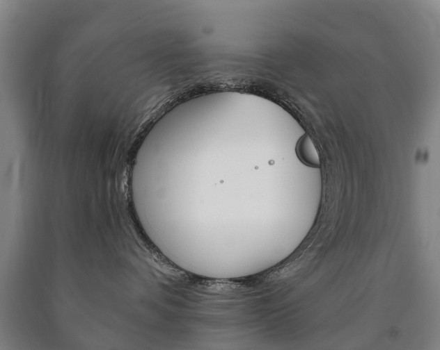X0000090910336200707301038