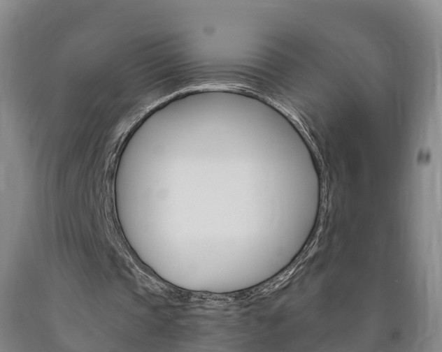 X0000090910337200707301037