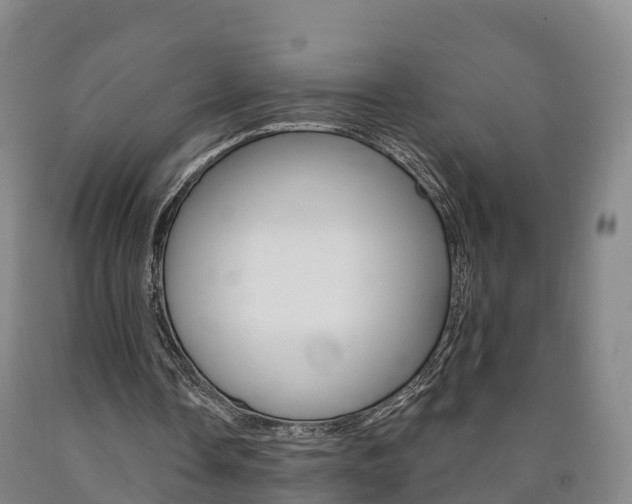 X0000090910338200707301037