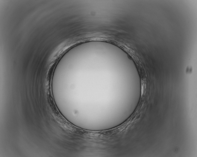 X0000090910339200707301037