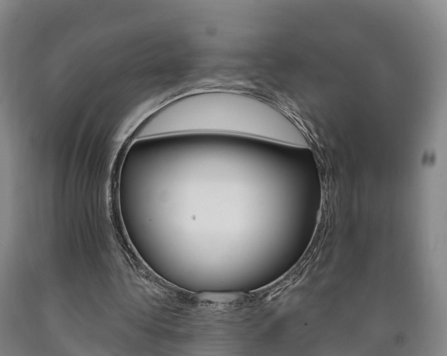 X0000090910340200707301037
