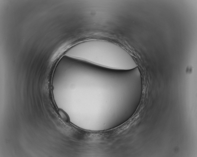X0000090910341200707301037