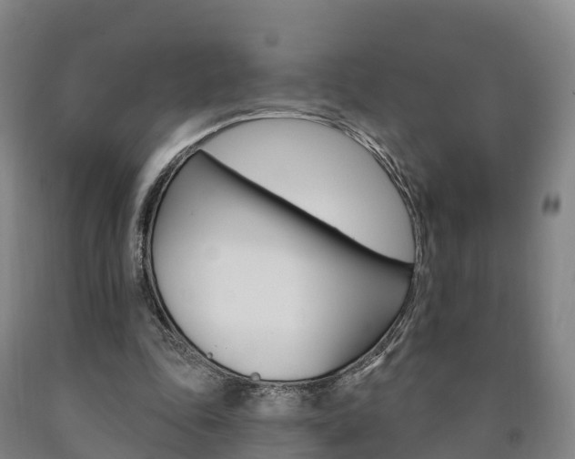 X0000090910343200707301037