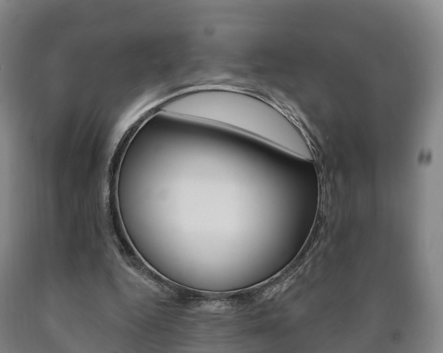 X0000090910344200707301037