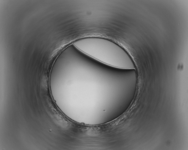 X0000090910345200707301037