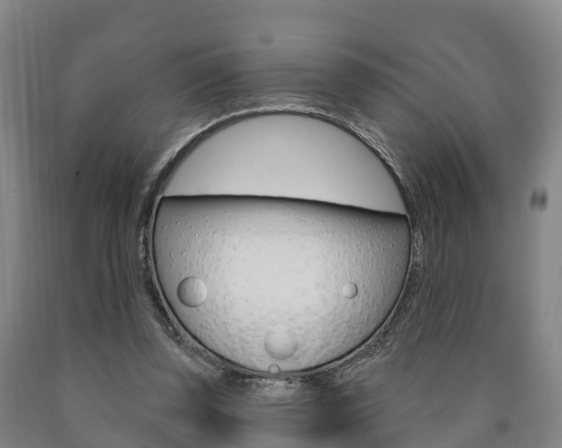 X0000090910347200707301037