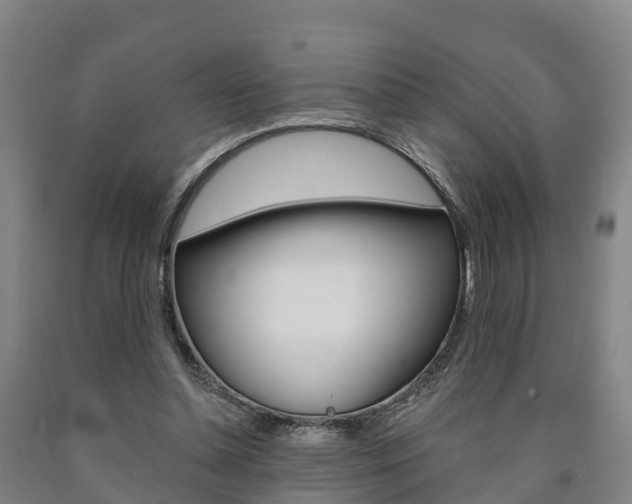 X0000090910348200707301037