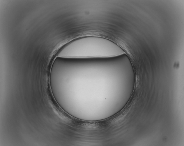 X0000090910349200707301038