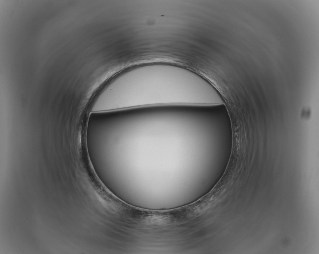 X0000090910350200707301038