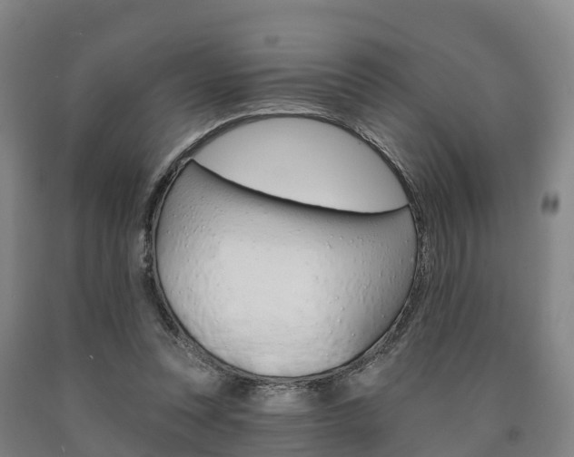X0000090910351200707301038
