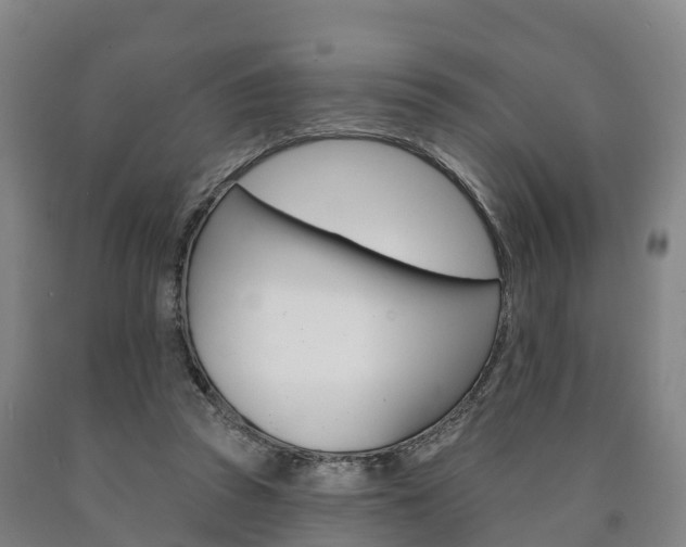 X0000090910353200707301038