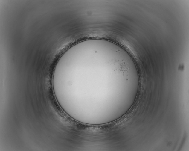 X0000090910354200707301038