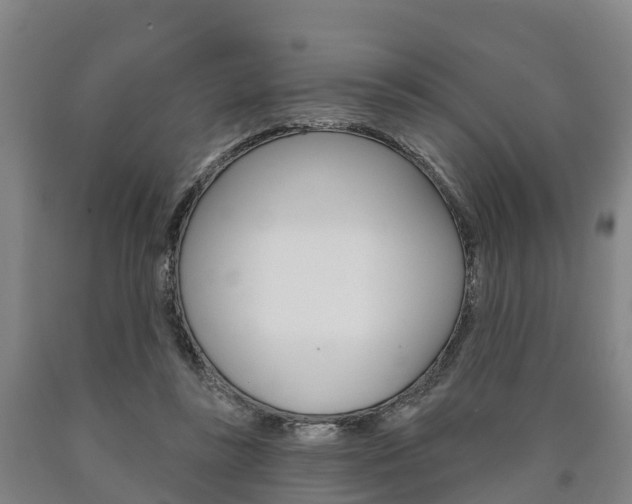 X0000090910355200707301038