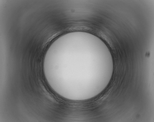 X0000090910356200707301038
