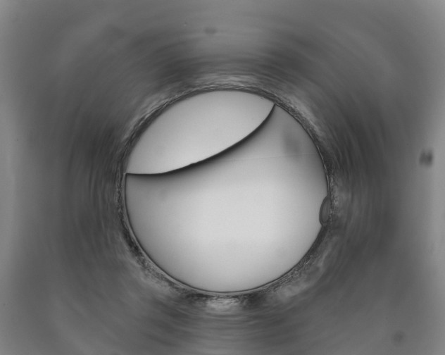 X0000090910357200707301038