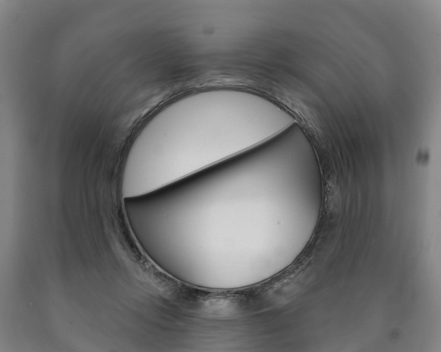X0000090910358200707301038