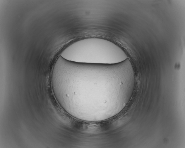 X0000090910359200707301038