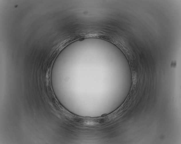 X0000090910360200707301038