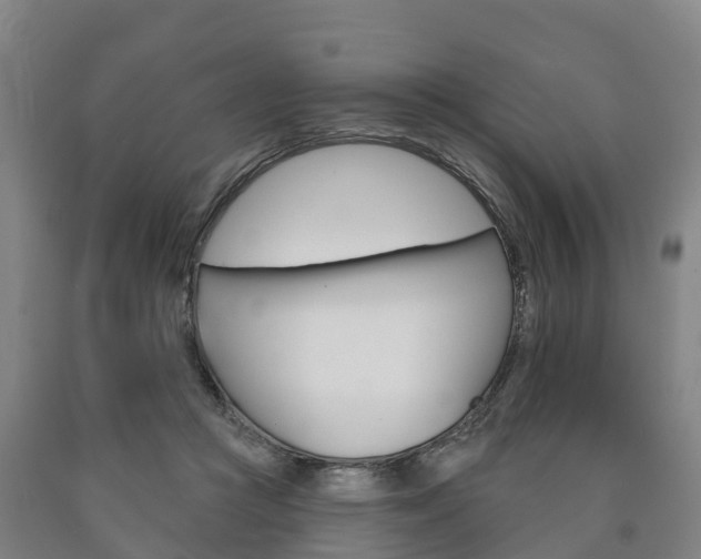 X0000090910361200707301038