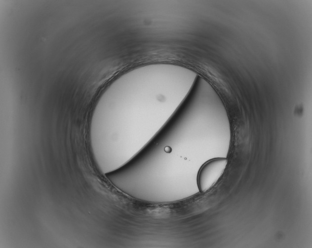 X0000090910362200707301038