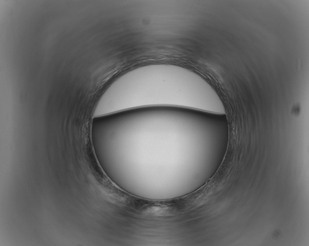 X0000090910364200707301038