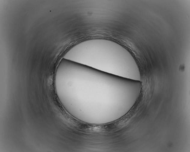 X0000090910365200707301038